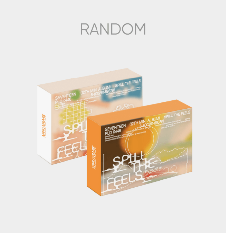 SEVENTEEN 12th Mini Album Kit Version - Weverse Shop Global
