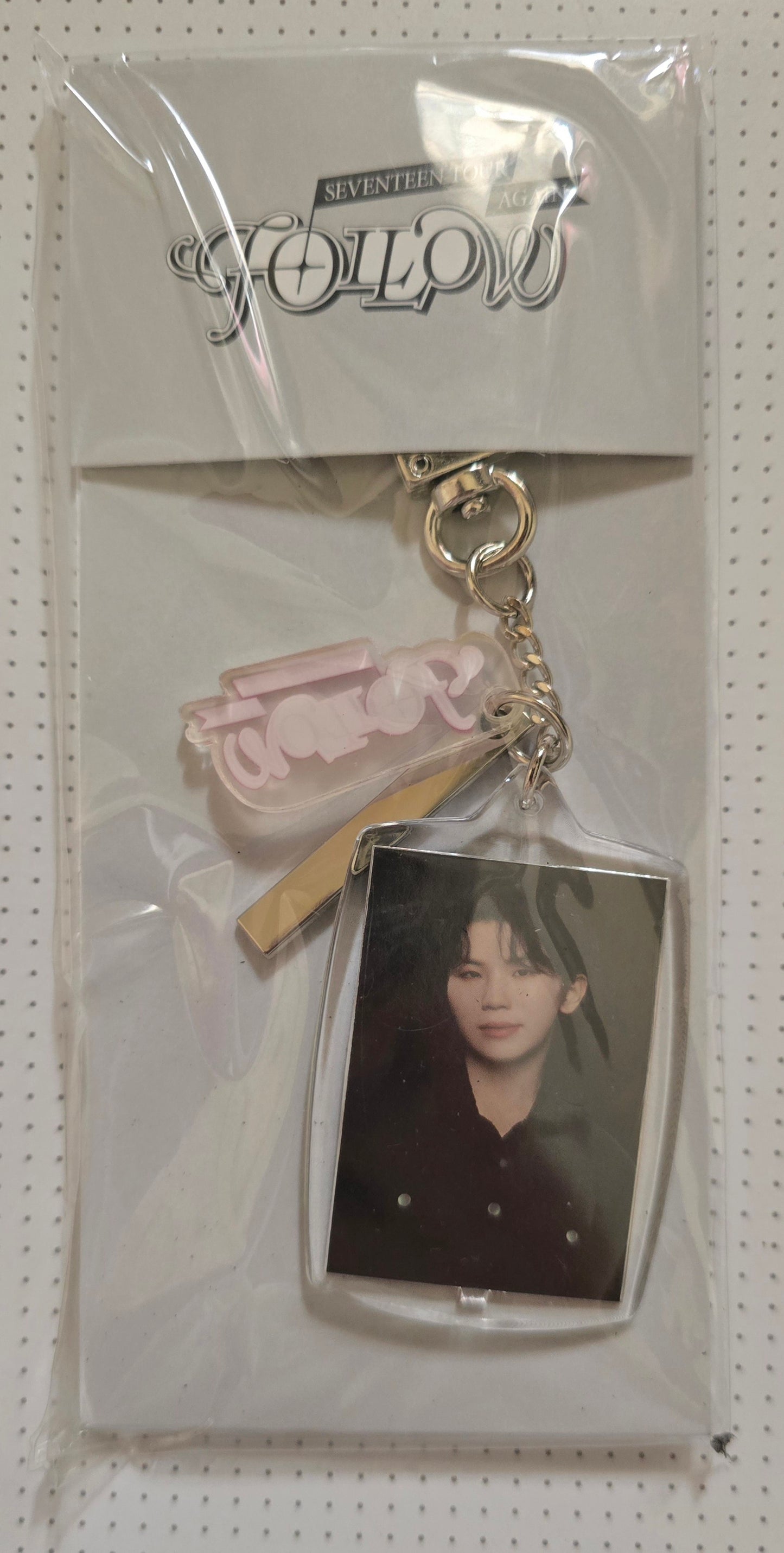 Follow Again Photo Keyring (Woozi)