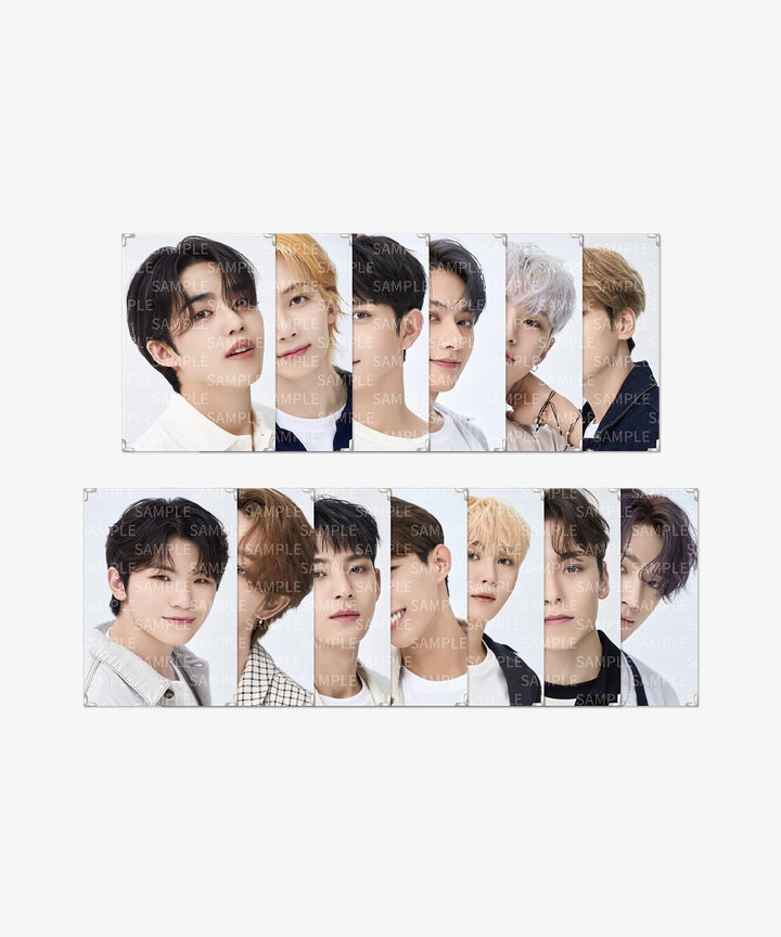 2021 Caratland Premium Photo