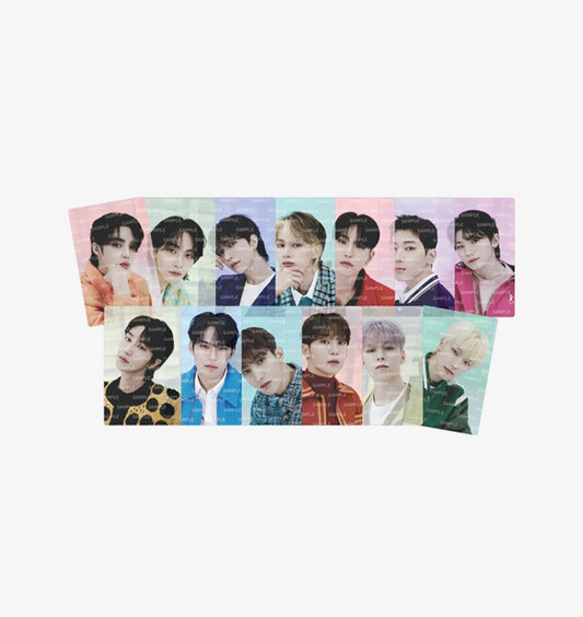 PET PHOTOCARD SET