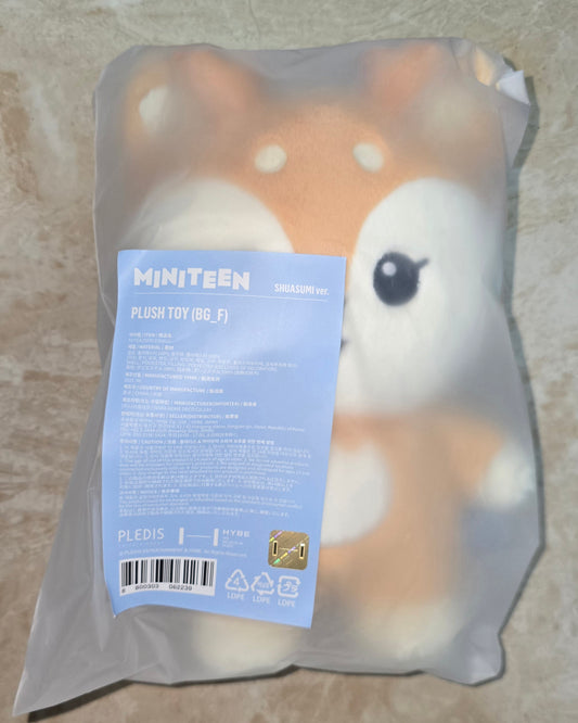 Miniteen Pasabuy