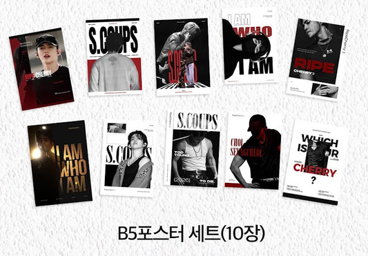 B5 Poster Set (10 Sheets)
